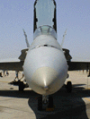 f18nose.jpg (49KB)