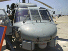 sh60nose.jpg (61kb)