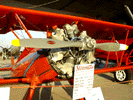 redstearman.jpg (83kb)