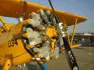 ylowstearman2.jpg (61kb)