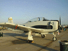 t28.jpg (51kb)