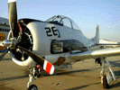 t284.jpg (63kb)