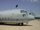 c130.jpg (46kb)