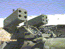 lav25_03.jpg (82KB)