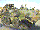 m242_01.jpg (93KB)