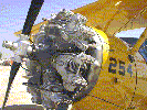 stearman_02.jpg (106KB)